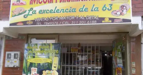 AVICOLA Y SALSAMENTARIA LA EXCELENCIA DE LA 63 AVICOLA Y SALSAMENTARIA LA EXCELENCIA DE LA 63